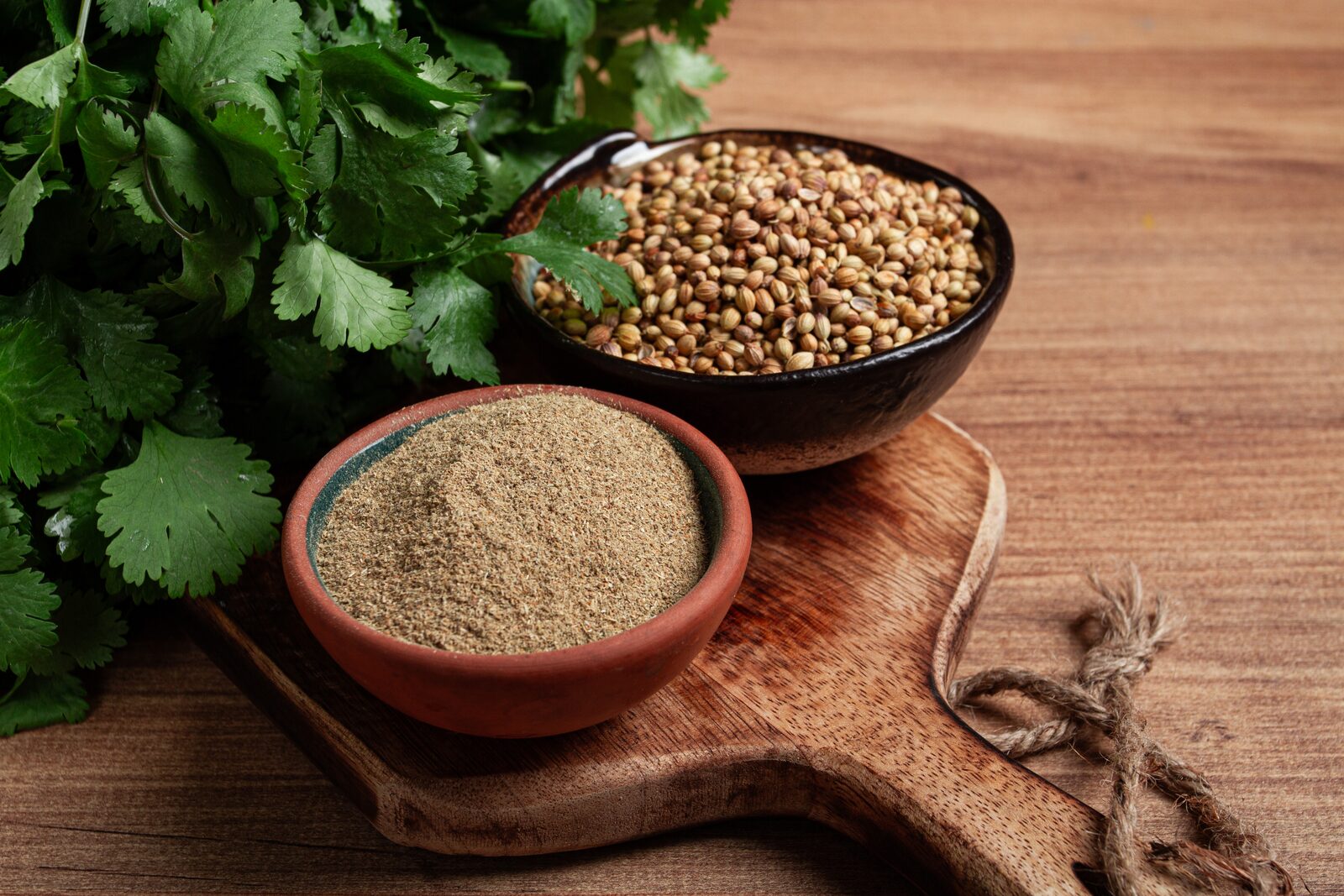 Coriander Powder